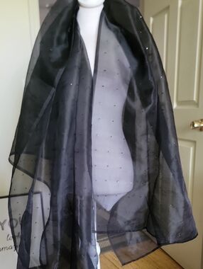 Accessorize Black Sheer Scarf with Brand Tag